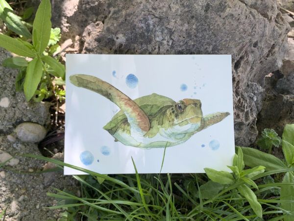 Minilámina animalario Tortuga boba