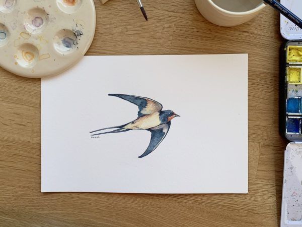 Acuarela original Golondrina en Febrero