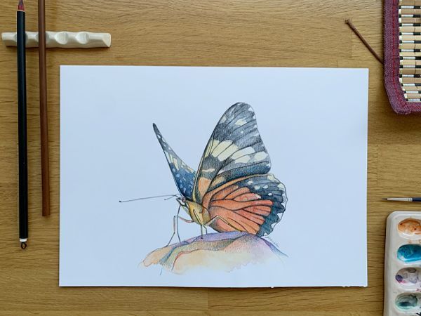 Acuarela mixta Mariposa