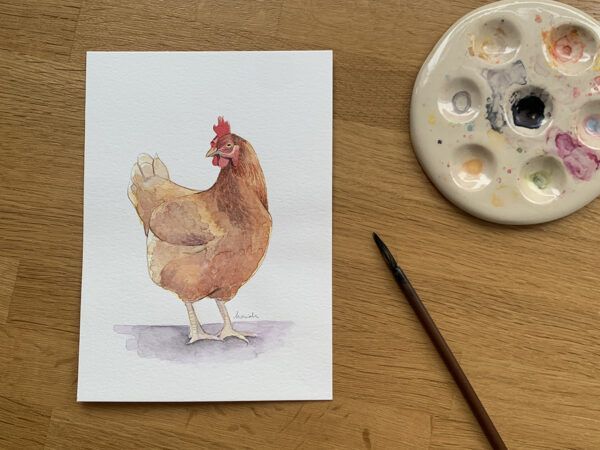 Acuarela original Gallina