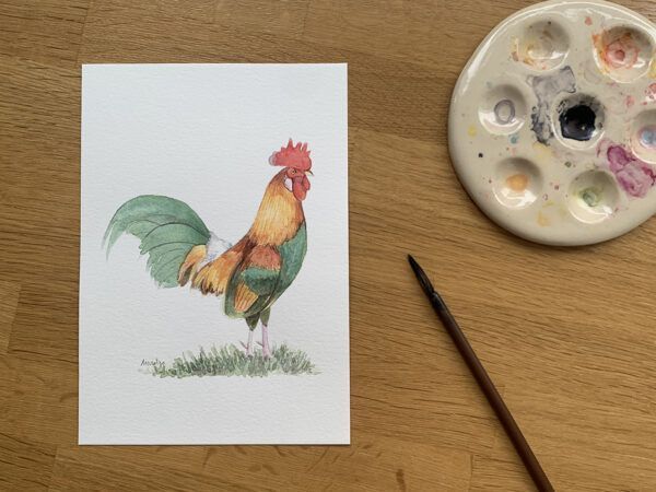 Acuarela original Gallo