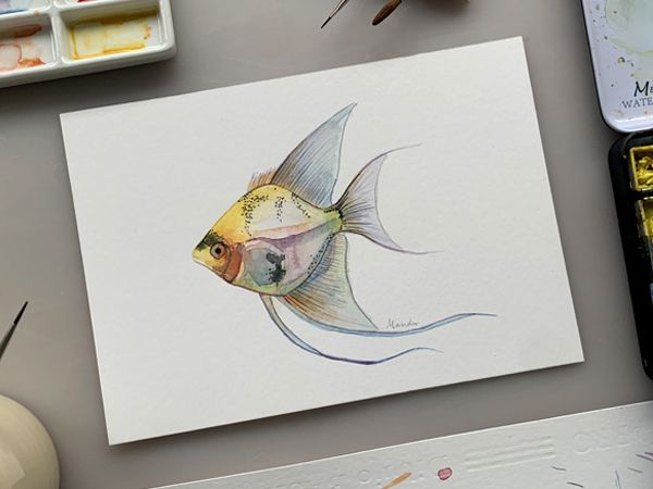 Acuarela Pez Ángel